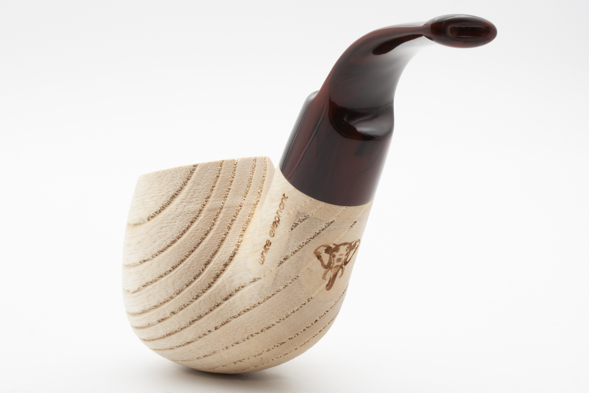 White Elephant Etosha 1