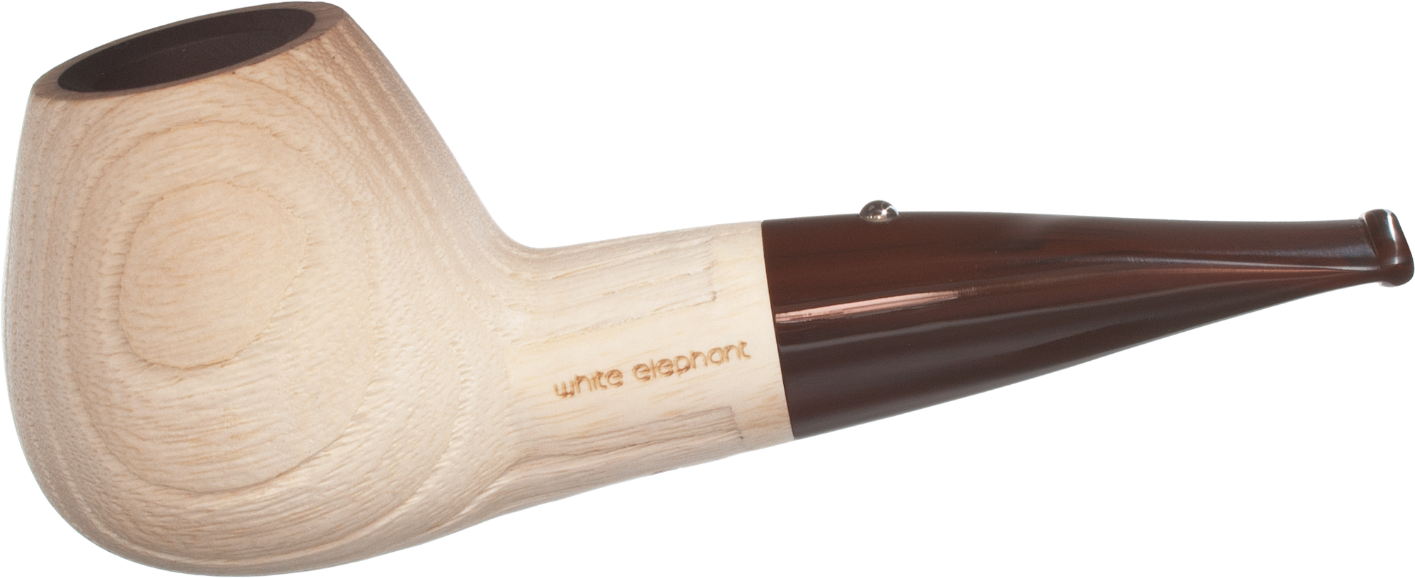 White Elephant Etosha 5