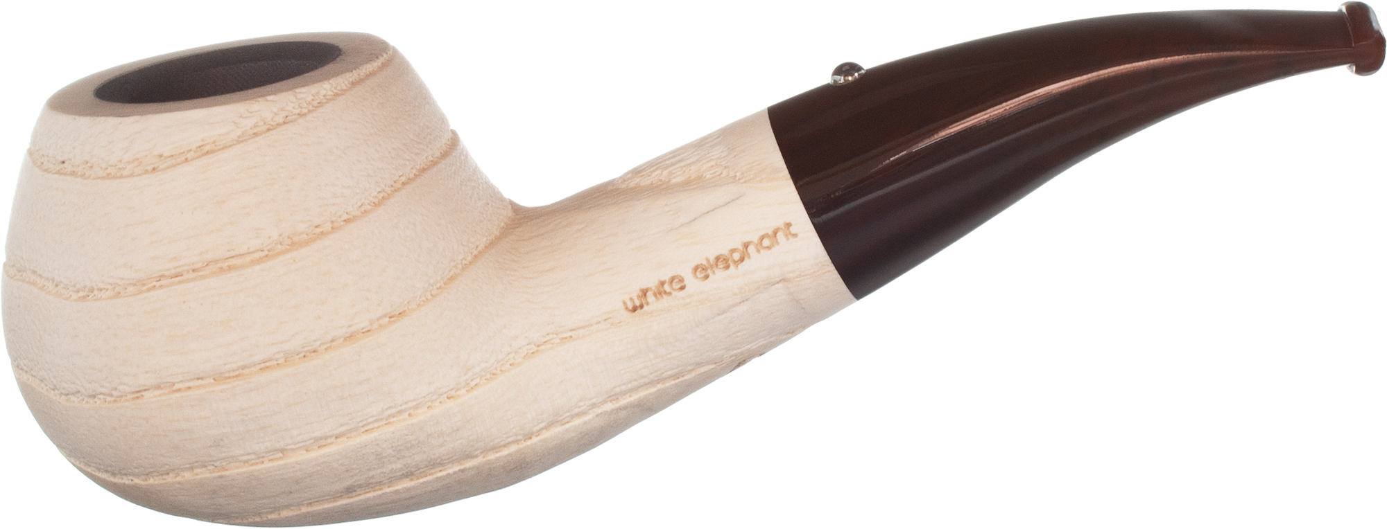 White Elephant Etosha 2