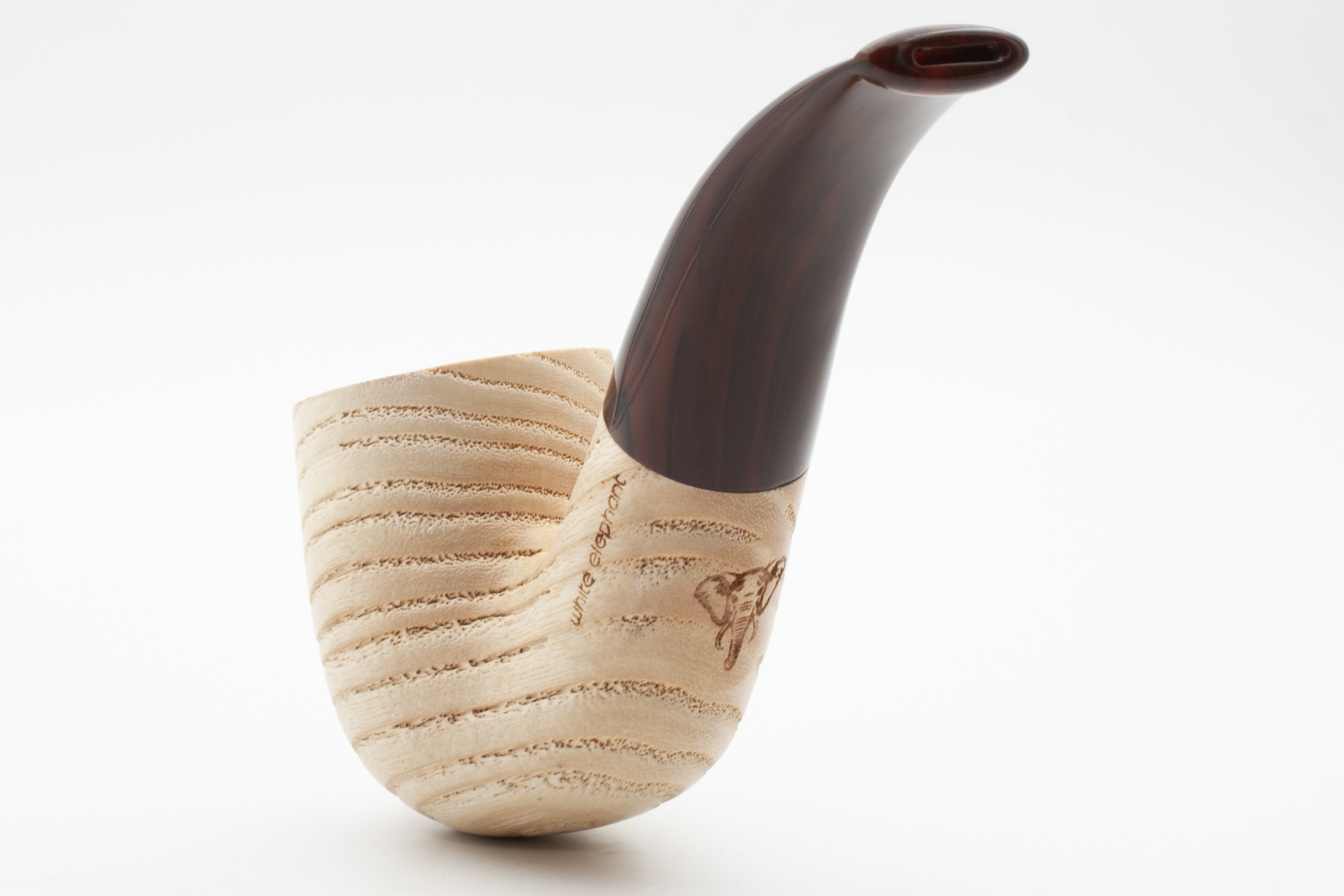 White Elephant Etosha 4