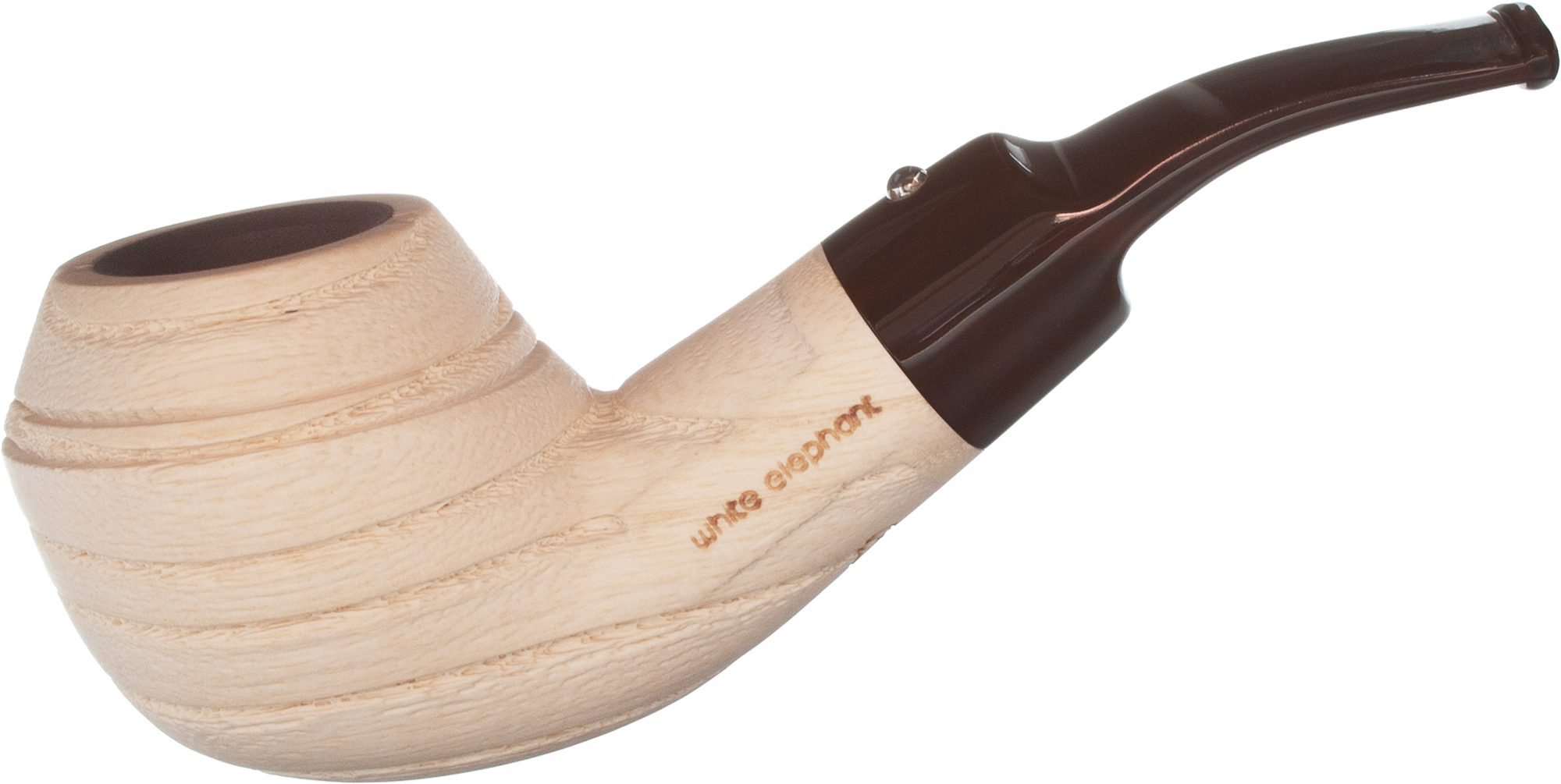 White Elephant Etosha 3